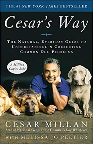 Cesar's Way- The Natural, Everyday Guide to Understanding & Correcting Common Dog Problems book cover