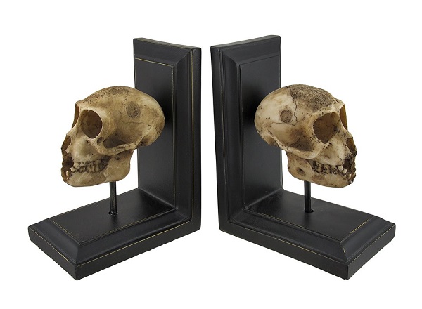 Neanderthal skull bookends