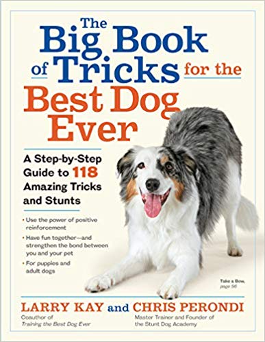 The Big Book of Tricks for the Best Dog Ever: A Step-by-Step Guide to 118 Amazing Tricks and Stunts book cover