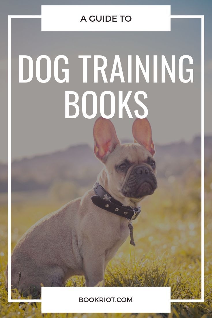 10 Helpful Dog Training Books for Every Personality Book Riot