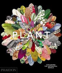 Plant Exploring the Botanical World Book Cover