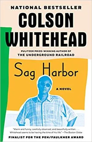 sag harbor book cover