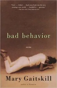 Bad Behavior by Mary Gaitskill cover