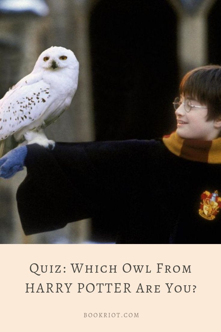 Quiz Which Owl From Harry Potter Are You Based On Your Reading Habits?