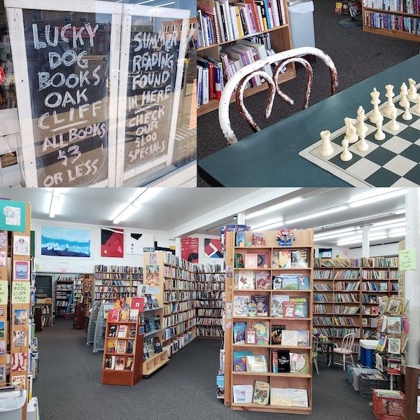 Dallas Literary Scene: Lucky Dog Books