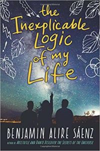 The Inexplicable Logic of my Life Book Cover