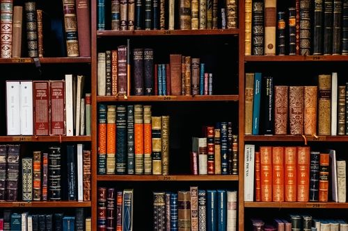 Bookstore shelves