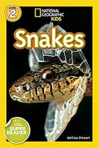 a snake falls to earth book