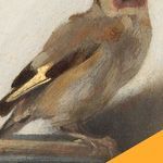 5 Books Like The Goldfinch To Prepare For The Movie - 21