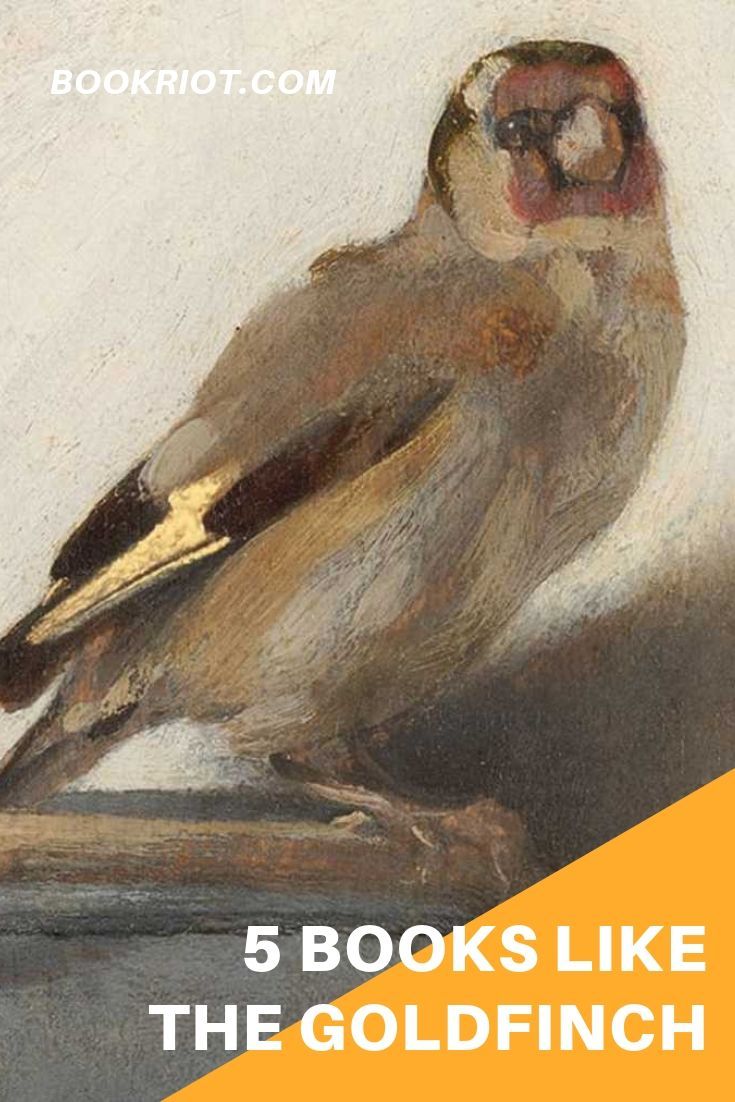 5 Books Like The Goldfinch To Prepare For The Movie | Book Riot