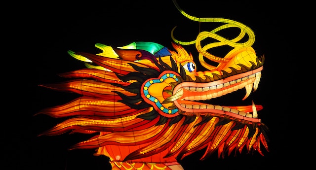 Dragon Books for Grown-Ups