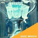 Quiz  Which Triwizard Champion from Harry Potter Are You  - 44