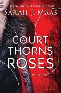 10 Queer YA Fantasy Series For Your Next Marathon Read - 6