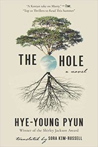 The Hole by Hye-young Pyun cover