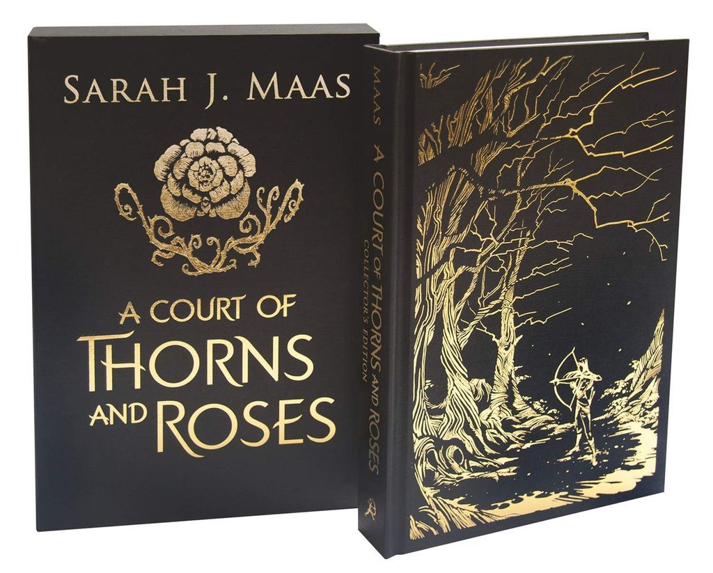 Beautiful Collector s Editions of Your Favorite YA Books - 84