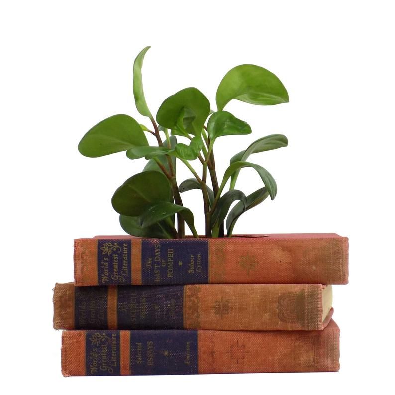 15 Great Eco Friendly Gifts For Readers Book Riot