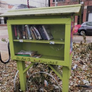 The Little Free Libraries of East Rogers Park - 58