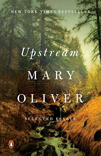 cover of Upstream: Selected Essays by Mary Oliver; photo deep inside a forest