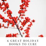 6 Great Holiday Books to Cure a Seasonal Funk - 99