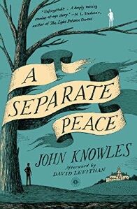 A Separate Peace by John Knowles