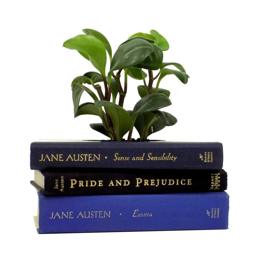 The Perfect Bookish Plant Lover Gifts - 17