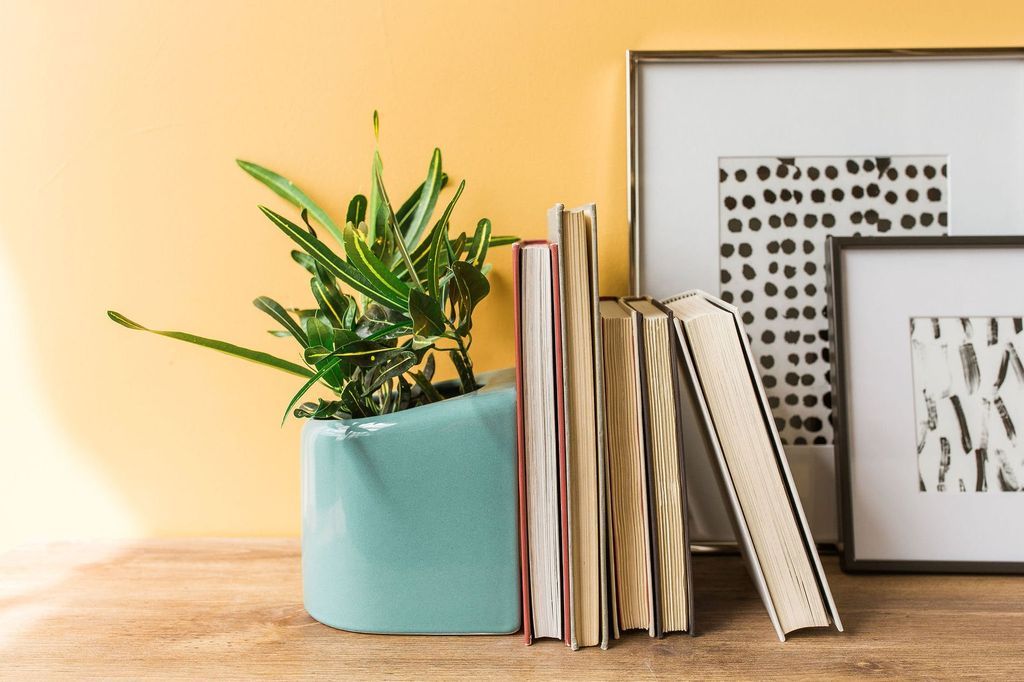 The Perfect Bookish Plant Lover Gifts - 90