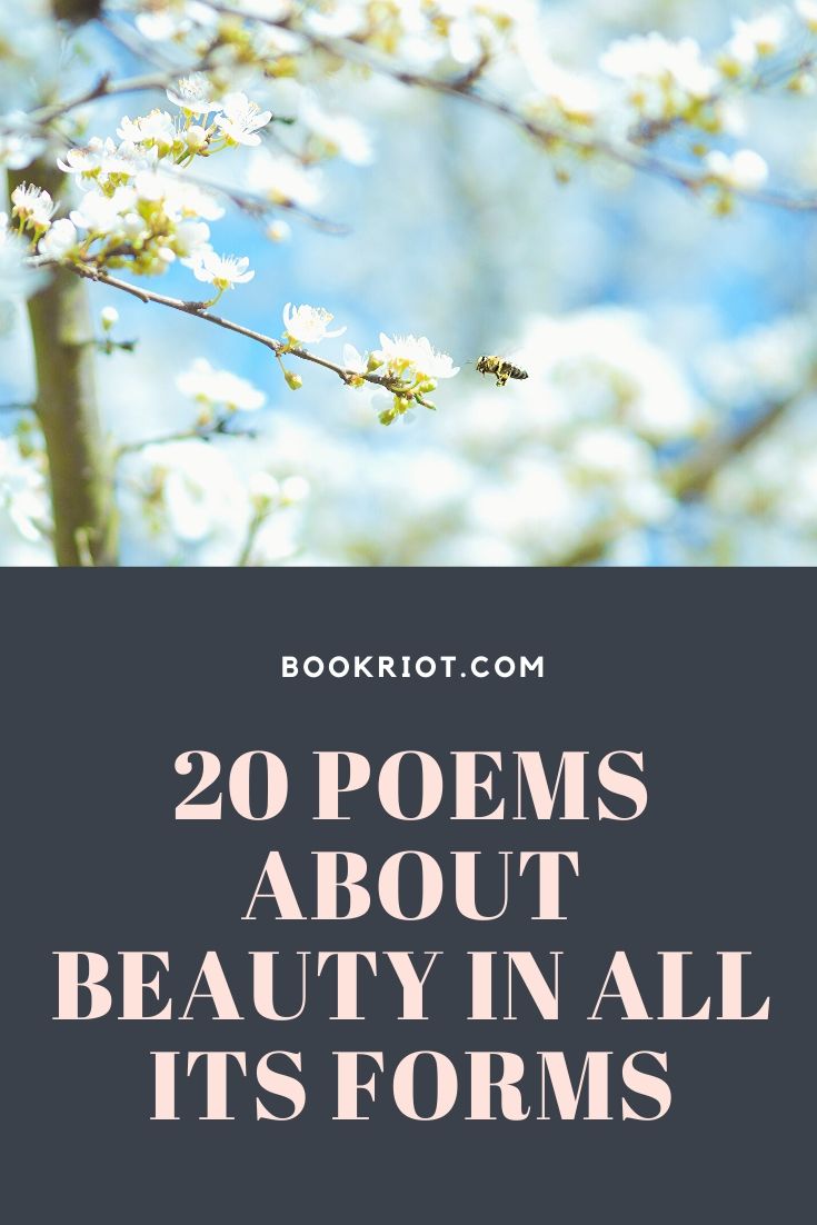 20 Marvelous Poems about Beauty in All Its Forms | Book Riot