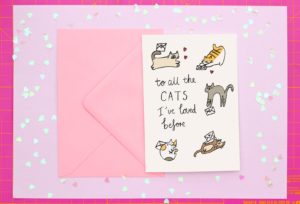 To All the Cats I've Loved Before card