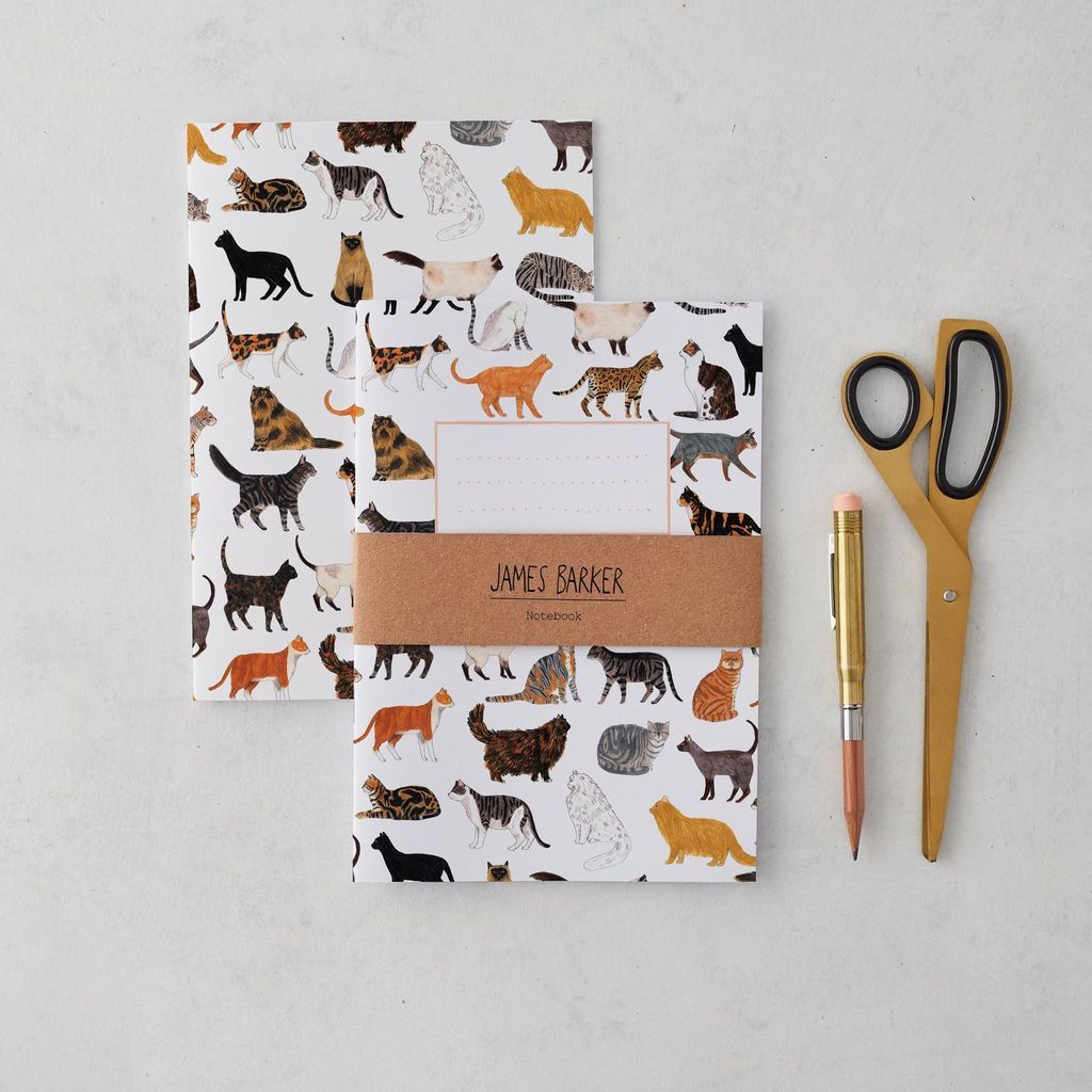 Find Your Purr fect Cat Notebooks - 88