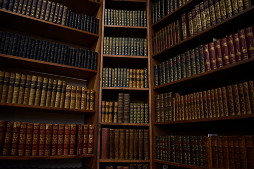 Bookshelves at the Strand. (Photo by Alex Luppens-Dale)