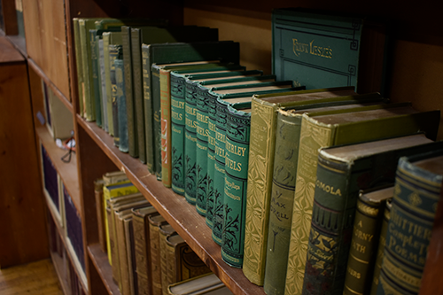 Green books at the Strand (Photo by Alex Luppens-Dale)