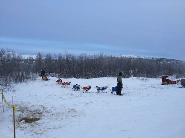 I Went on a Dogsledding Adventure and Was Awkward at an Author and Celeb Musher - 19