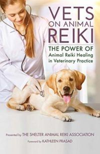 4 of the Best Books About Reiki Discovery - 57