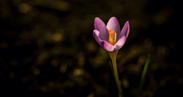 Spring New Releases: 100 Books Hitting Shelves March–May 2020