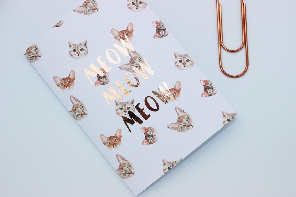 Find Your Purr fect Cat Notebooks - 12