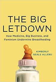 The Big Letdown book cover