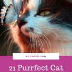 21 Purrfect Cat Books for Kids Who Love Kitties - 48