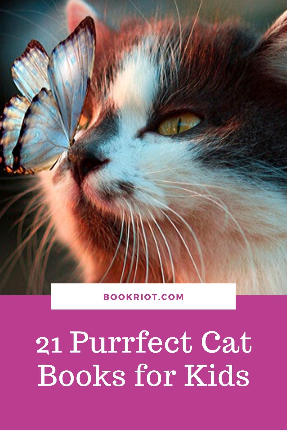 21 Purrfect Cat Books for Kids Who Love Kitties | Book Riot