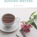 6 of the Best Creative Writing Guides for Budding Writers - 2