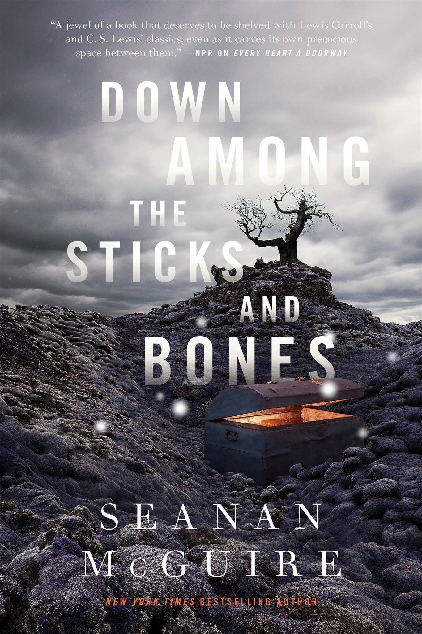 seanan mcguire down among the sticks and bones