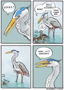 https://falseknees.com/325.html