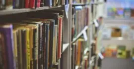shelf of library books