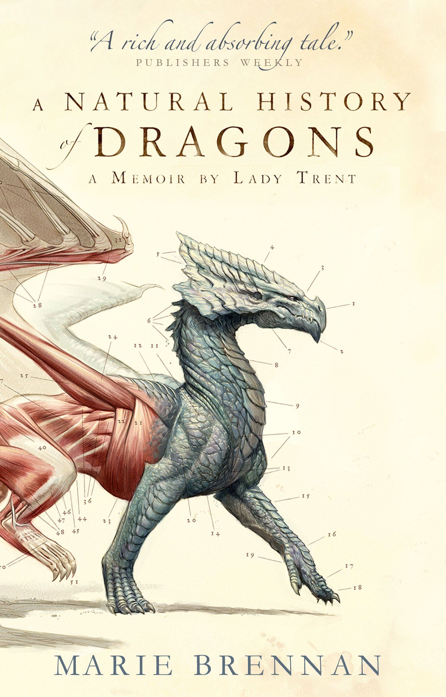 8 of the Best Adult Dragon Books Around - 48