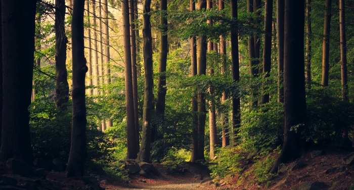 20 Must-Read Books for Nature Lovers