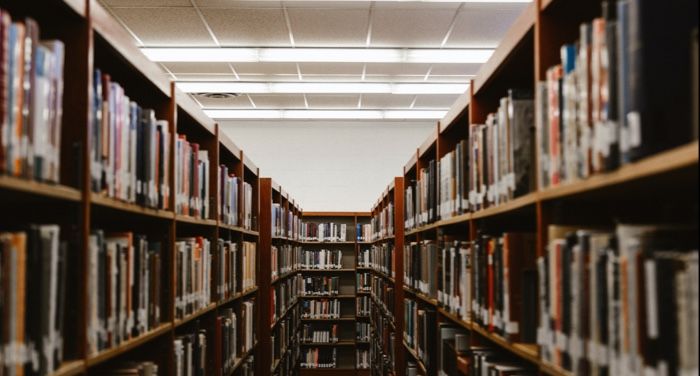 a photo of an aisle in a school library