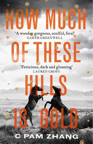 How Much of These Hills is Gold book cover