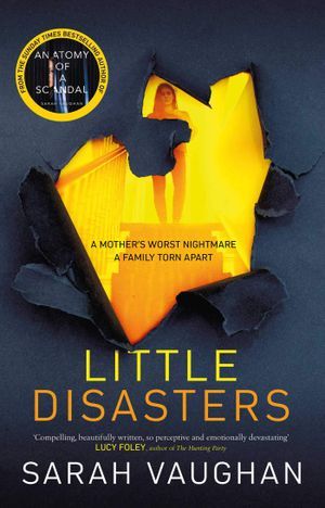 cover image for Little Disasters