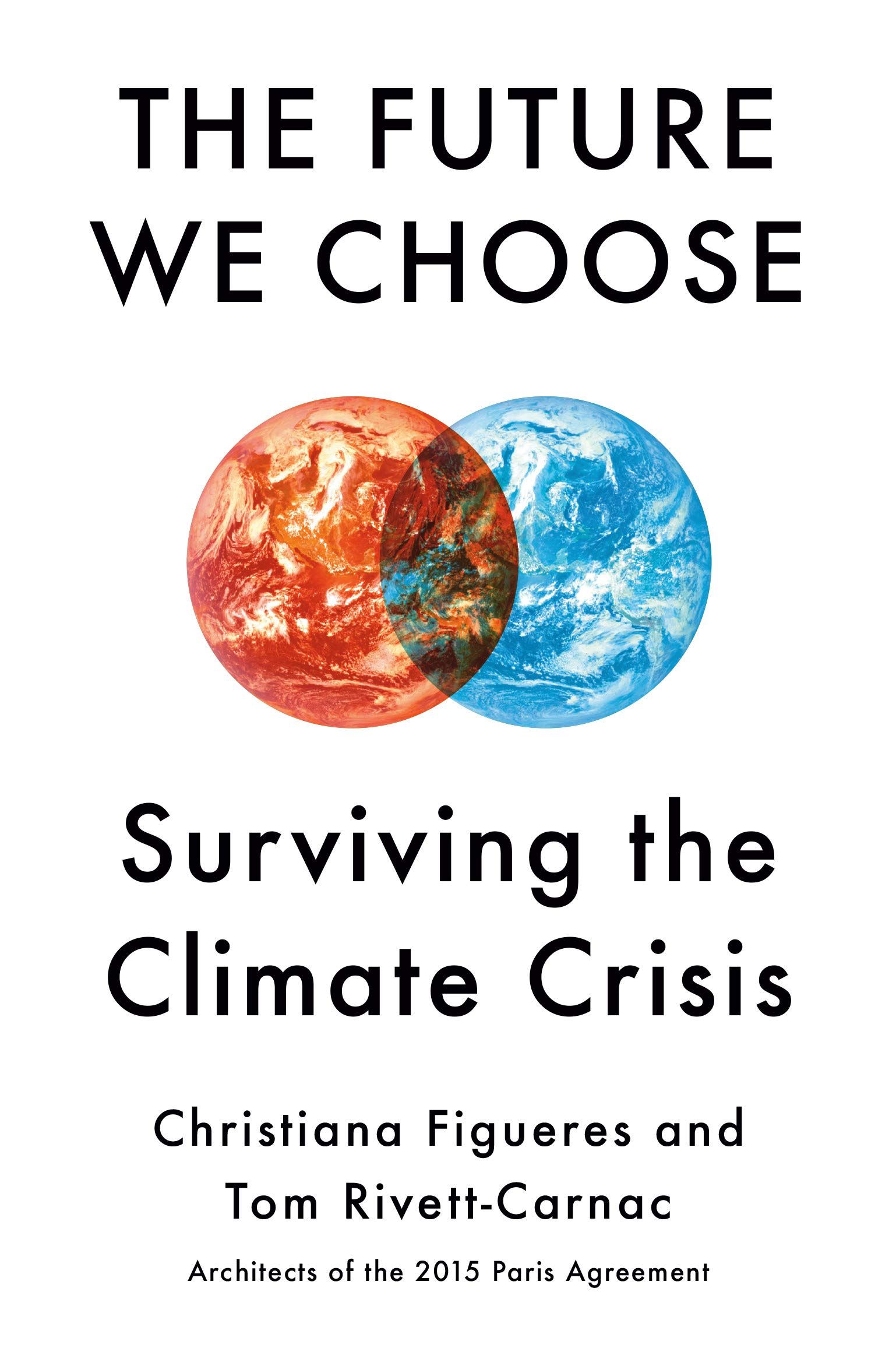 Books to Make You Feel Less Helpless About the Climate Emergency - 38