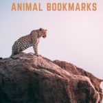 No Dog Earing Necessary With These 50 Rad Animal Bookmarks - 57