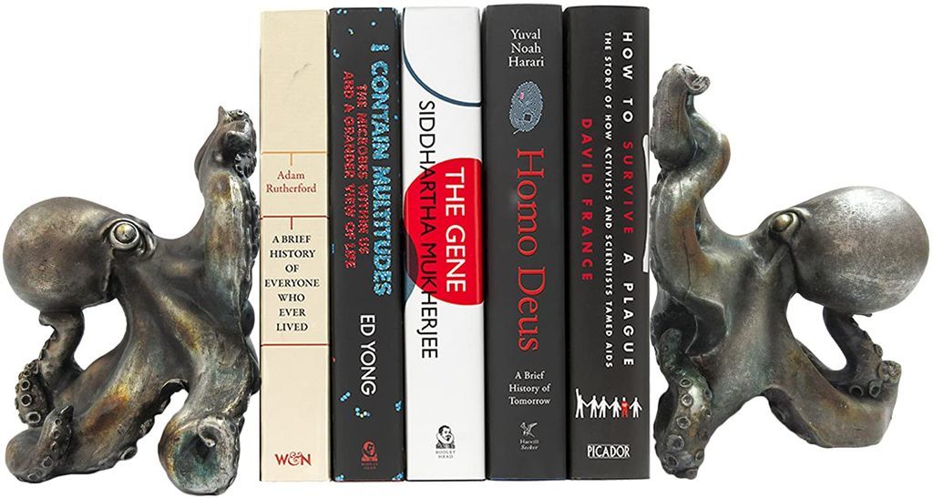 Eight Arms To Hug Your Books  The Perfect Octopus Bookends   Book RIot - 34